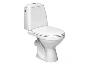 replacement-toilet-450x300