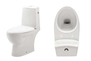 replacement-toilet-450x321